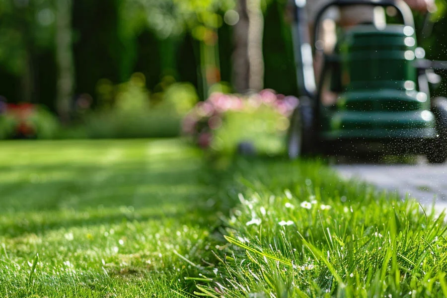 electric start lawn mowers